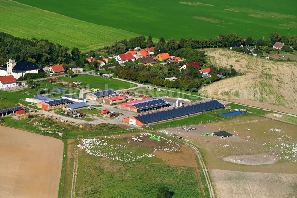 Gollmitz from the bird's eye view: Agricultural land and field boundaries surround the settlement area of the village in Gollmitz Uckermark in the state Brandenburg, Germany