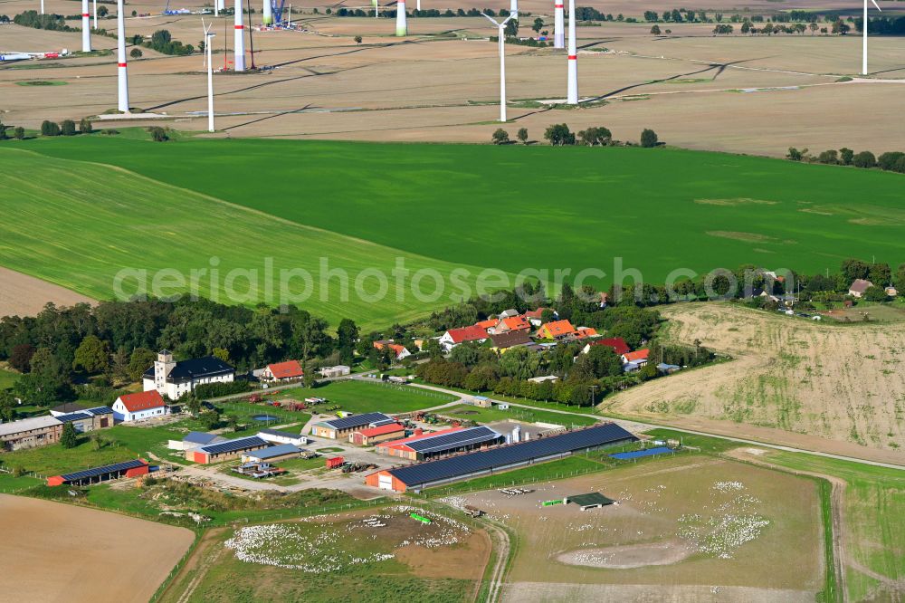 Aerial image Gollmitz - Agricultural land and field boundaries surround the settlement area of the village in Gollmitz Uckermark in the state Brandenburg, Germany