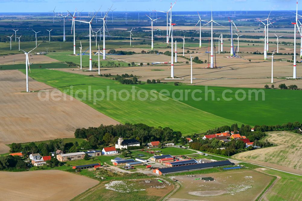 Aerial photograph Gollmitz - Agricultural land and field boundaries surround the settlement area of the village in Gollmitz Uckermark in the state Brandenburg, Germany