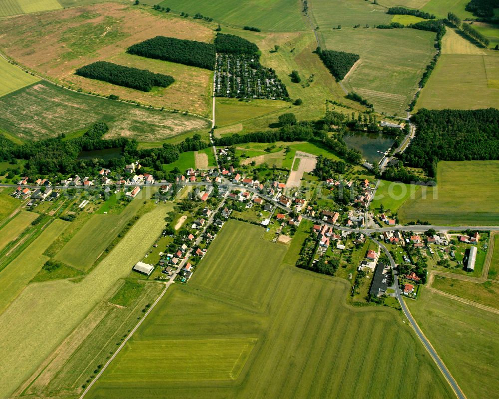 Aerial image Goltzscha - Agricultural land and field boundaries surround the settlement area of the village in Goltzscha in the state Saxony, Germany