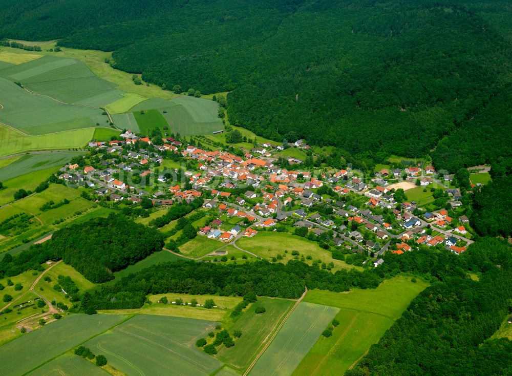 Gonbach from the bird's eye view: Agricultural land and field boundaries surround the settlement area of the village in Gonbach in the state Rhineland-Palatinate, Germany