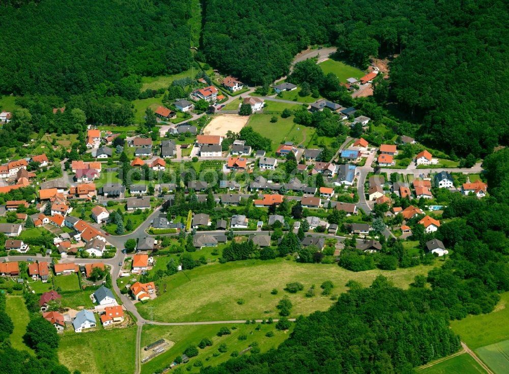 Aerial photograph Gonbach - Agricultural land and field boundaries surround the settlement area of the village in Gonbach in the state Rhineland-Palatinate, Germany