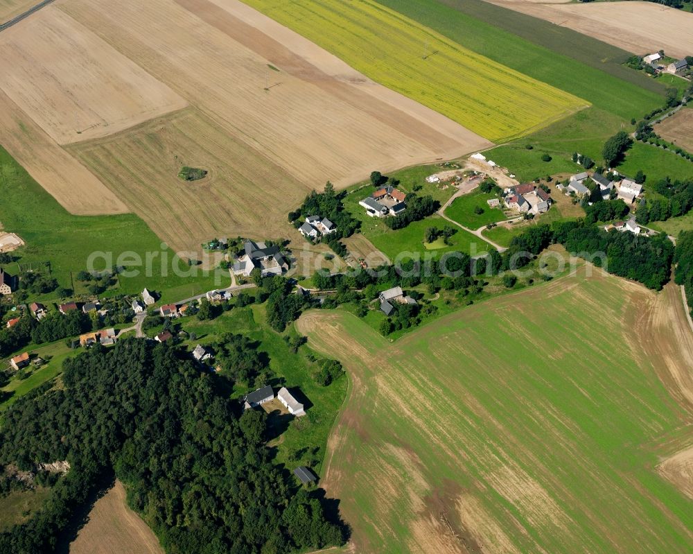 Aerial image Greifendorf - Agricultural land and field boundaries surround the settlement area of the village in Greifendorf in the state Saxony, Germany