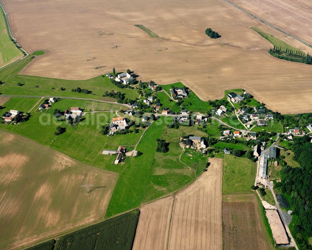 Greifendorf from above - Agricultural land and field boundaries surround the settlement area of the village in Greifendorf in the state Saxony, Germany