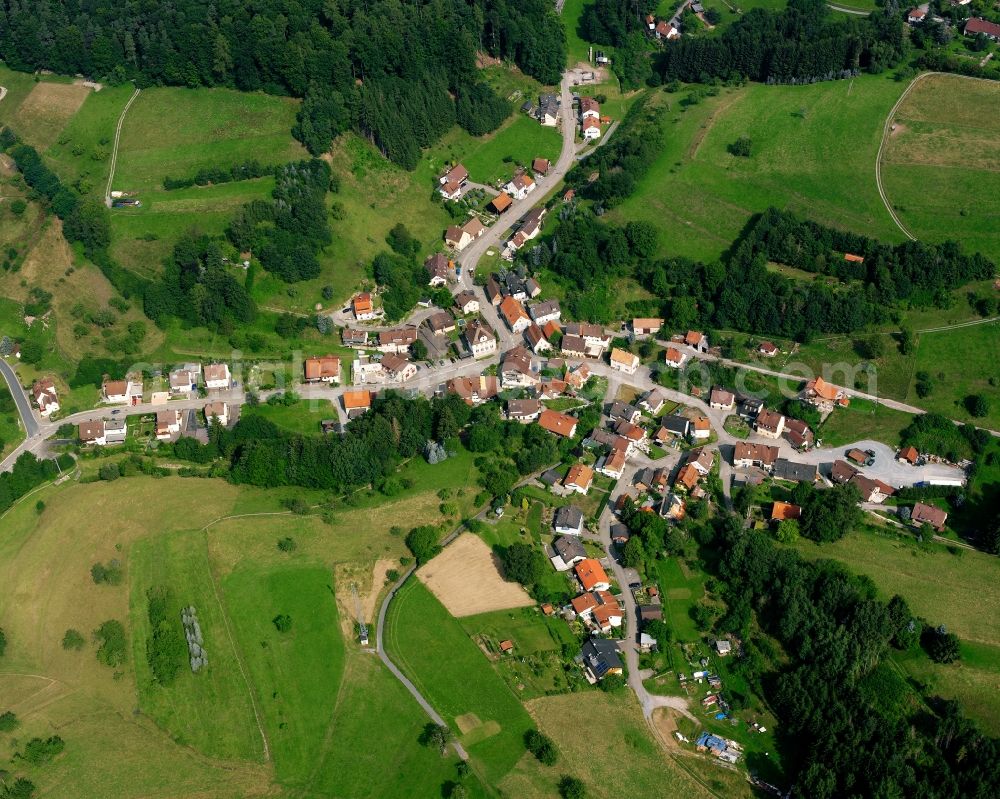 Greuthof from the bird's eye view: Agricultural land and field boundaries surround the settlement area of the village in Greuthof in the state Baden-Wuerttemberg, Germany