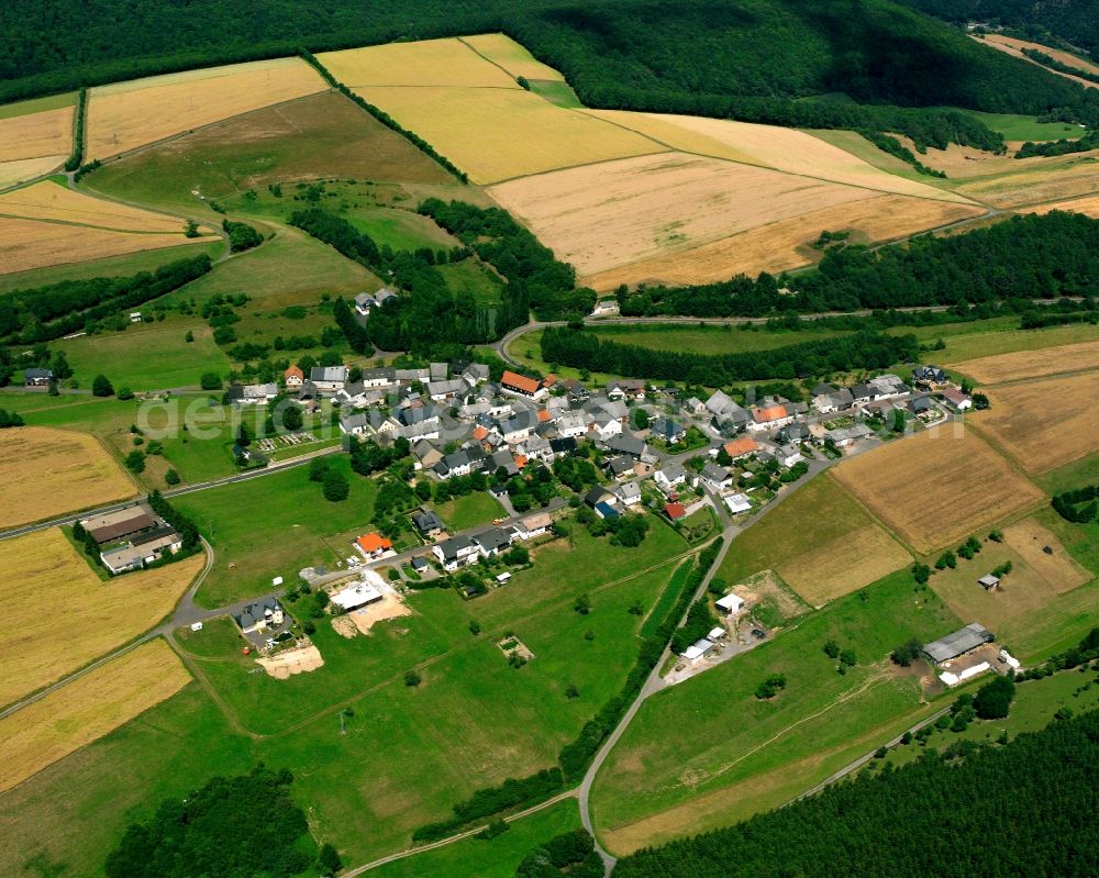 Aerial image Griebelschied - Agricultural land and field boundaries surround the settlement area of the village in Griebelschied in the state Rhineland-Palatinate, Germany