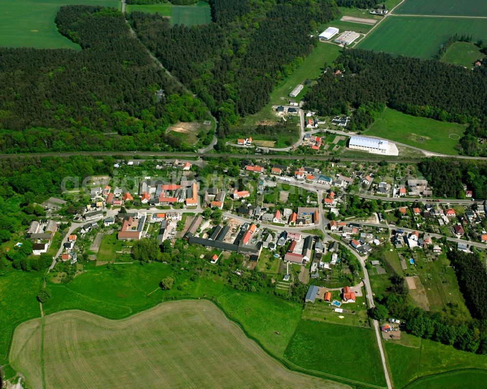 Griebo from the bird's eye view: Agricultural land and field boundaries surround the settlement area of the village in Griebo in the state Saxony-Anhalt, Germany