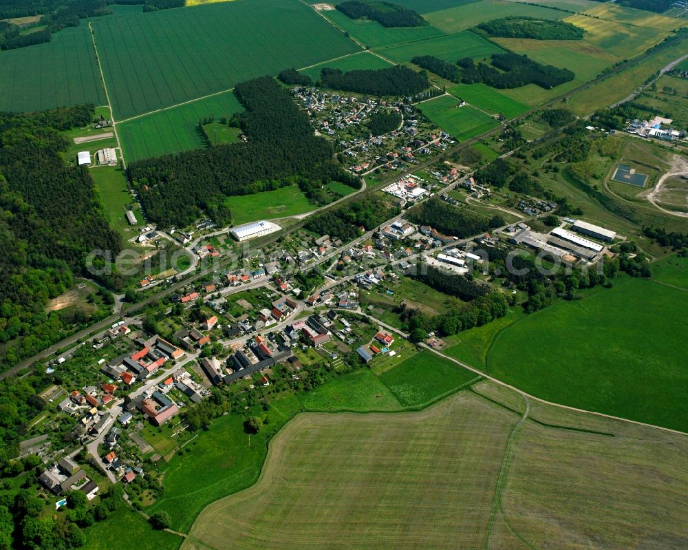 Aerial image Griebo - Agricultural land and field boundaries surround the settlement area of the village in Griebo in the state Saxony-Anhalt, Germany