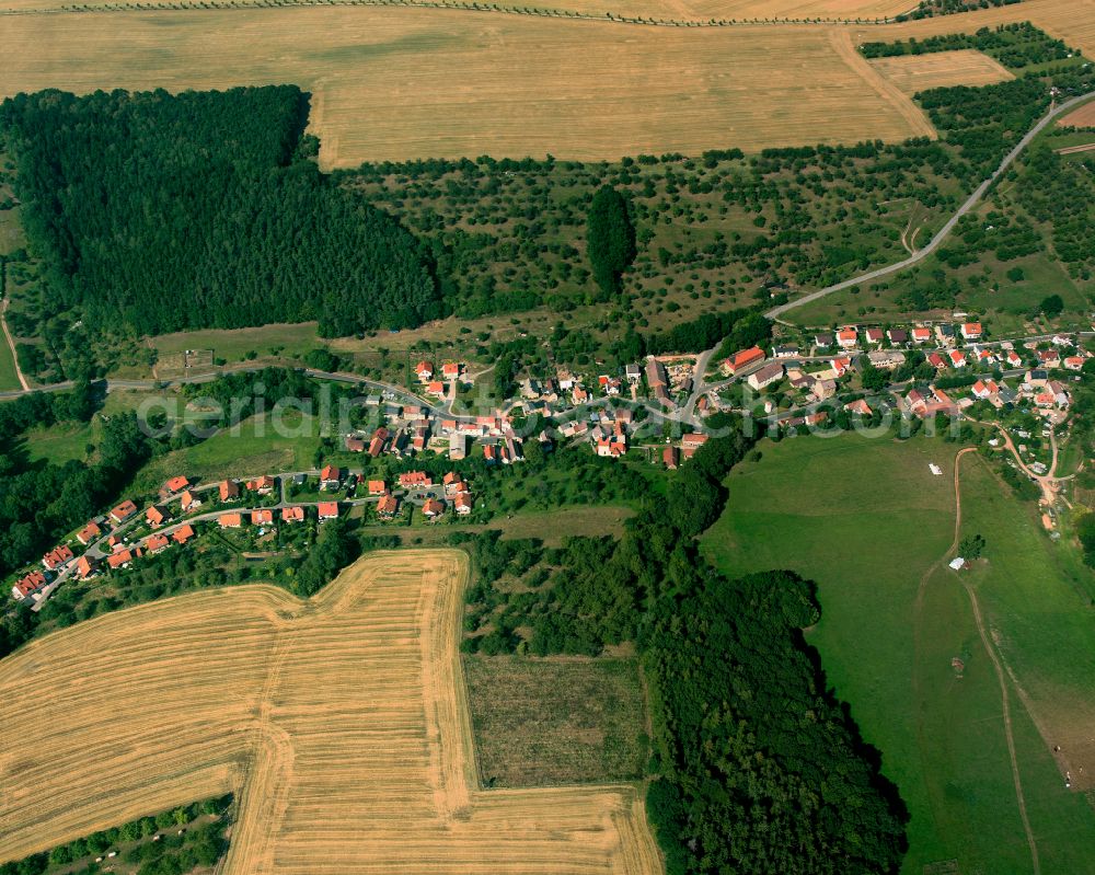 Grüna from the bird's eye view: Agricultural land and field boundaries surround the settlement area of the village in Grüna in the state Thuringia, Germany