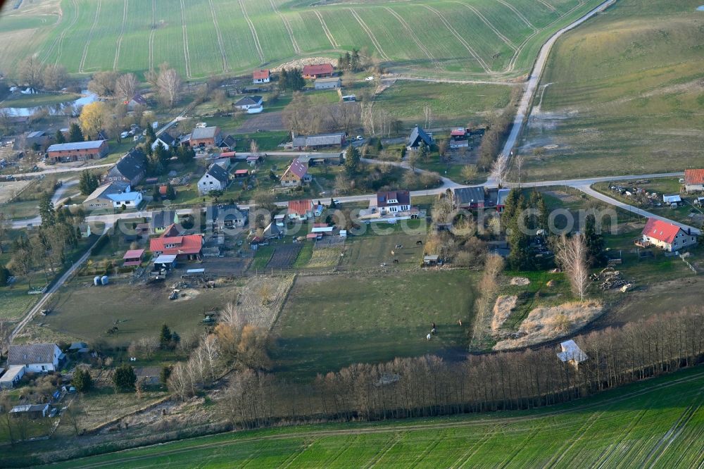 Aerial photograph Grünow - Agricultural land and field boundaries surround the settlement area of the village in Grünow in the state Mecklenburg - Western Pomerania, Germany