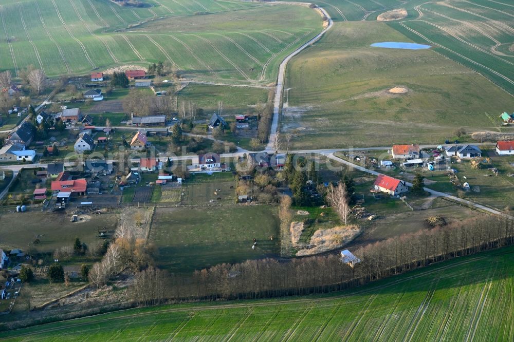 Grünow from the bird's eye view: Agricultural land and field boundaries surround the settlement area of the village in Grünow in the state Mecklenburg - Western Pomerania, Germany