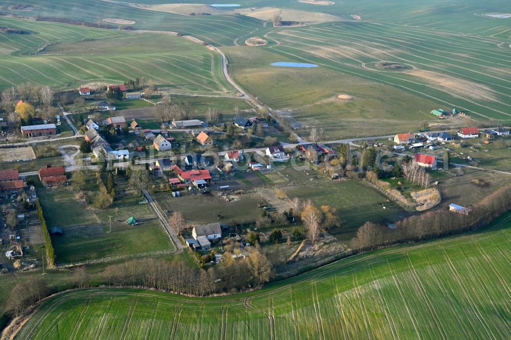 Aerial image Grünow - Agricultural land and field boundaries surround the settlement area of the village in Grünow in the state Mecklenburg - Western Pomerania, Germany