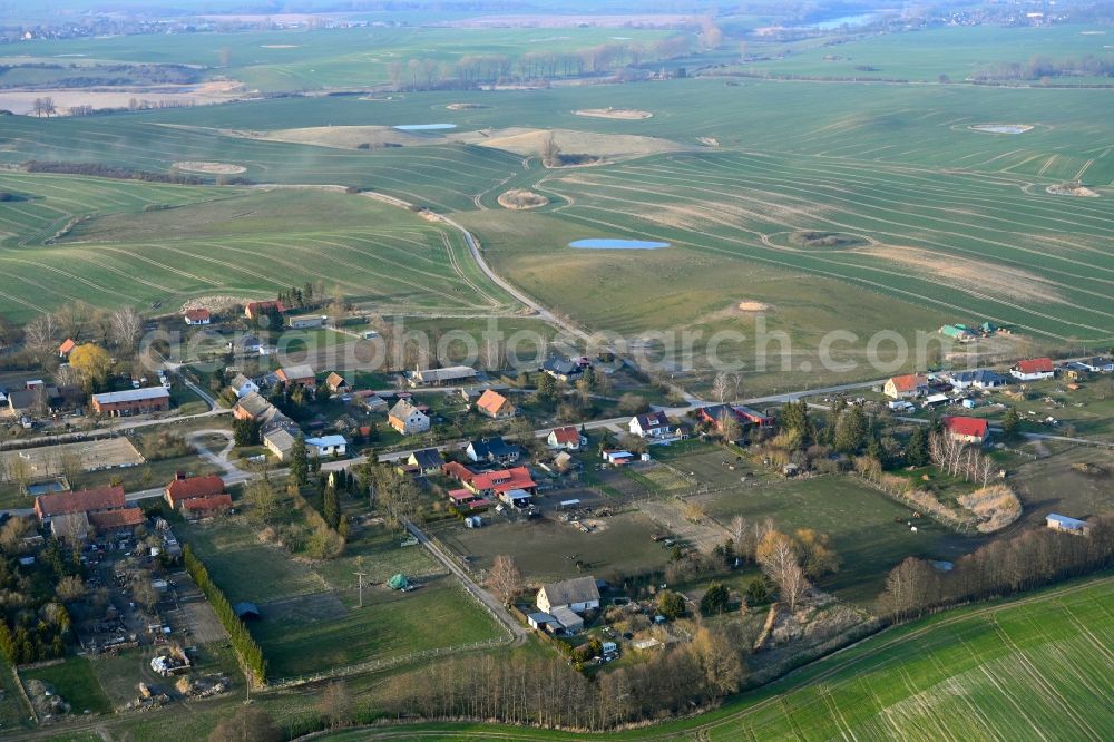 Aerial photograph Grünow - Agricultural land and field boundaries surround the settlement area of the village in Grünow in the state Mecklenburg - Western Pomerania, Germany