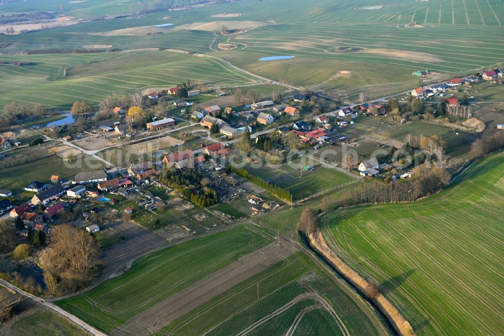 Grünow from the bird's eye view: Agricultural land and field boundaries surround the settlement area of the village in Grünow in the state Mecklenburg - Western Pomerania, Germany