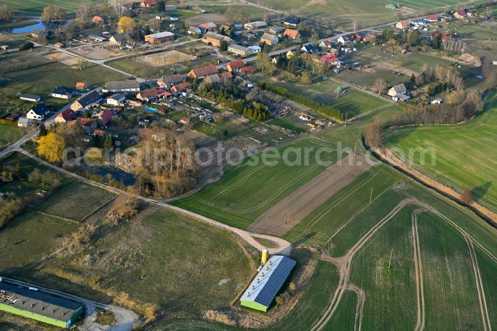 Aerial photograph Grünow - Agricultural land and field boundaries surround the settlement area of the village in Grünow in the state Mecklenburg - Western Pomerania, Germany