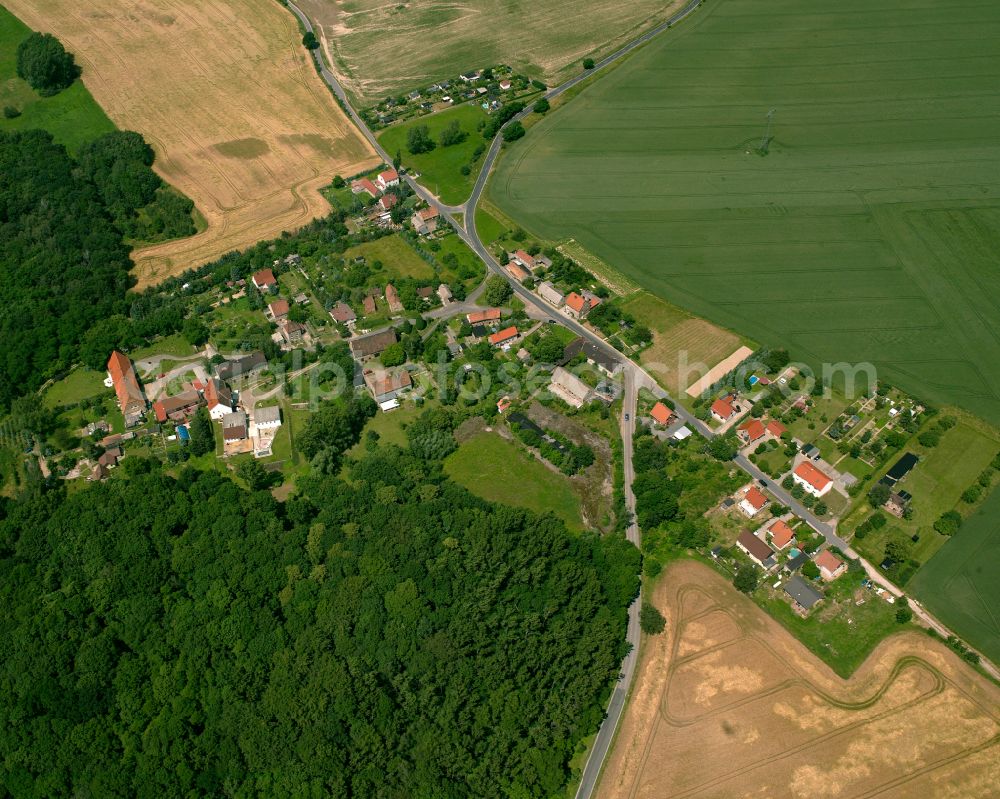 Aerial photograph Groptitz - Agricultural land and field boundaries surround the settlement area of the village in Groptitz in the state Saxony, Germany