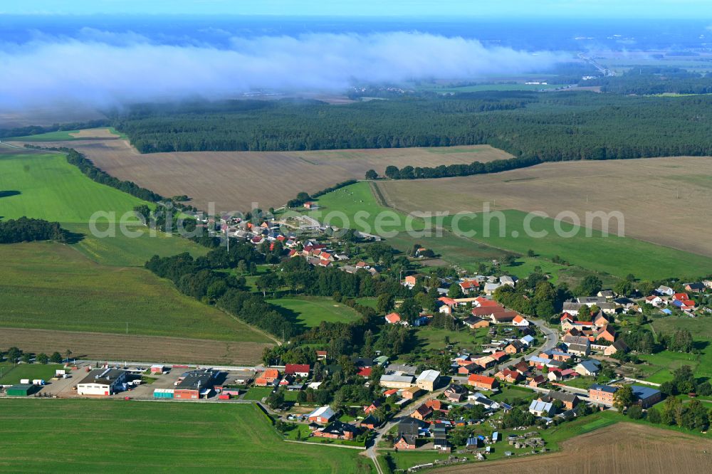 Groß Godems from the bird's eye view: Agricultural land and field boundaries surround the settlement area of the village in Gross Godems in the state Mecklenburg - Western Pomerania, Germany