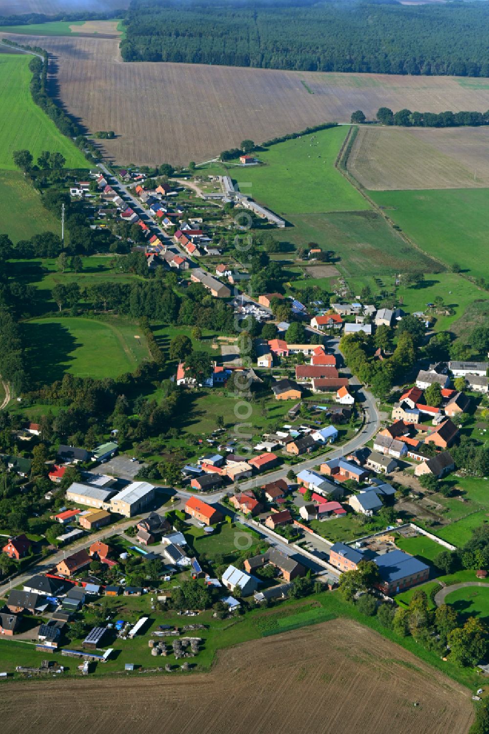 Aerial photograph Groß Godems - Agricultural land and field boundaries surround the settlement area of the village in Gross Godems in the state Mecklenburg - Western Pomerania, Germany