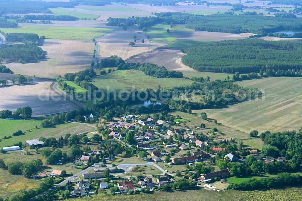 Aerial photograph Groß Jehser - Agricultural land and field boundaries surround the settlement area of the village on street Schmiedeweg in Gross Jehser in the state Brandenburg, Germany