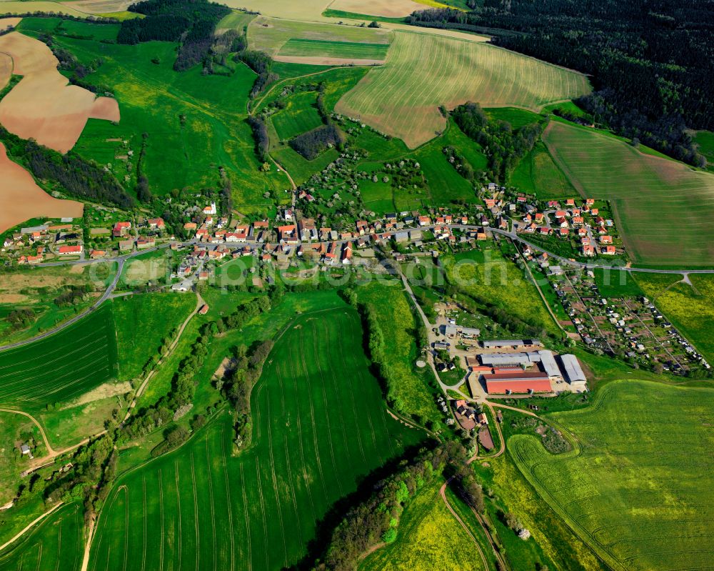 Aerial photograph Großsaara - Agricultural land and field boundaries surround the settlement area of the village in Großsaara in the state Thuringia, Germany