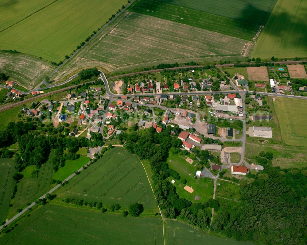 Grubnitz from the bird's eye view: Agricultural land and field boundaries surround the settlement area of the village in Grubnitz in the state Saxony, Germany