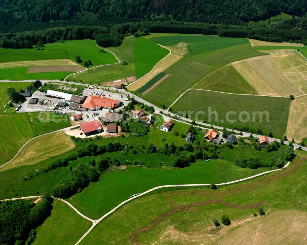 Aerial image Görwihl - Agricultural land and field boundaries surround the settlement area of the village in Görwihl in the state Baden-Wuerttemberg, Germany