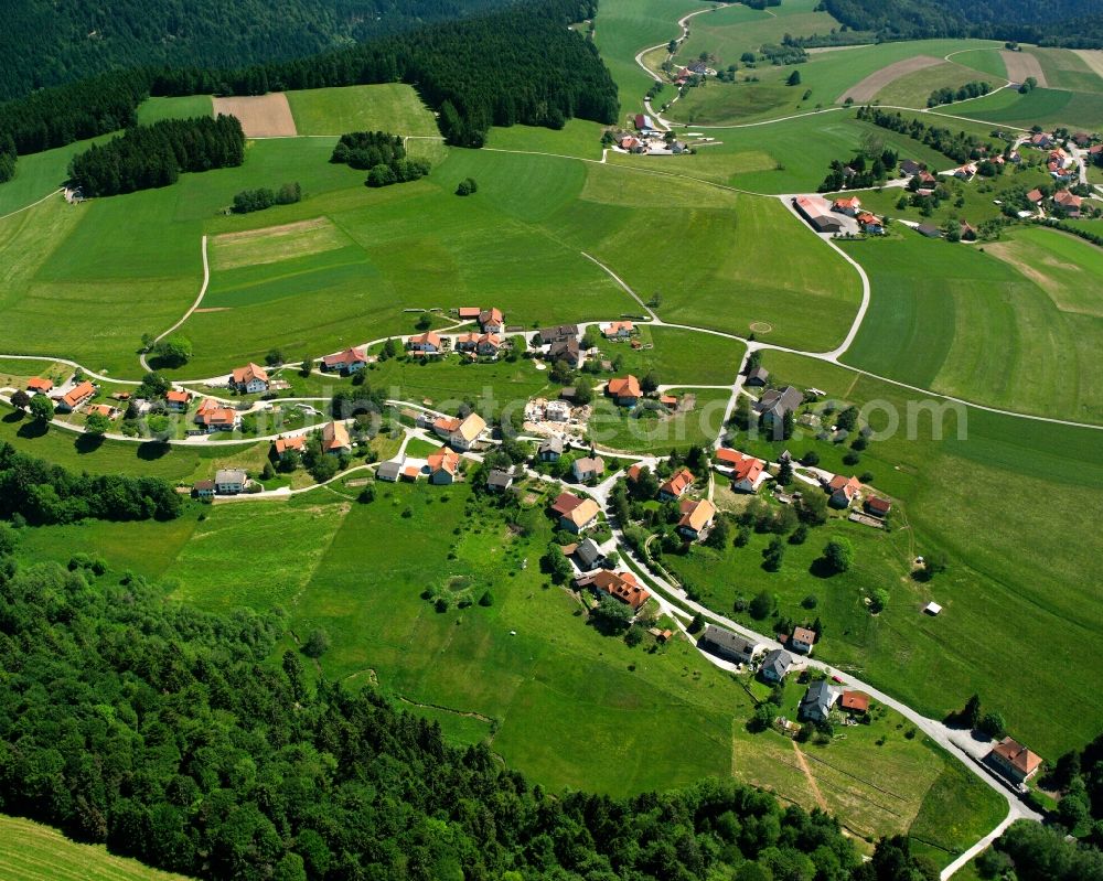 Aerial image Görwihl - Agricultural land and field boundaries surround the settlement area of the village in Görwihl in the state Baden-Wuerttemberg, Germany