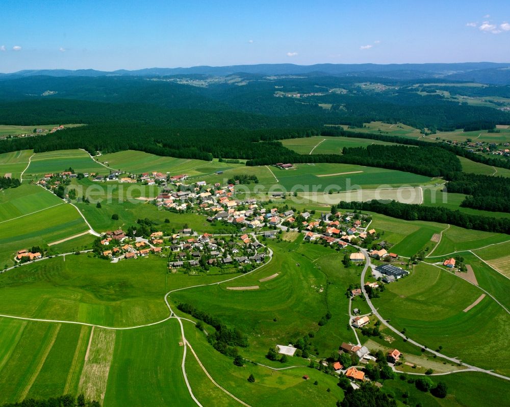 Görwihl from the bird's eye view: Agricultural land and field boundaries surround the settlement area of the village in Görwihl in the state Baden-Wuerttemberg, Germany