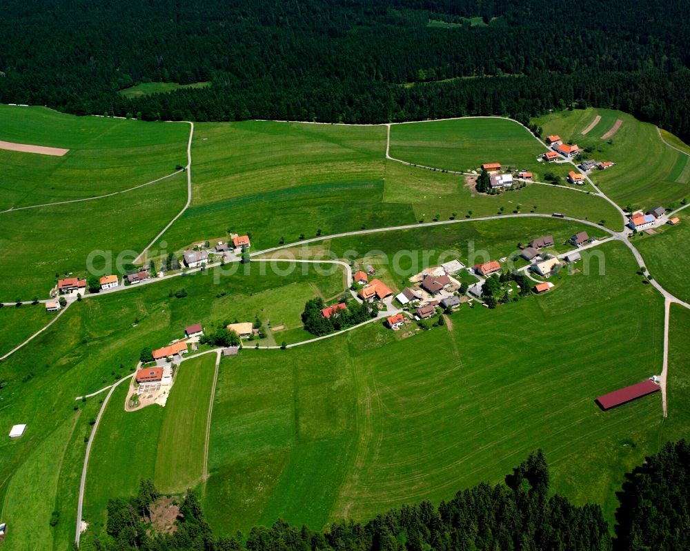 Görwihl from above - Agricultural land and field boundaries surround the settlement area of the village in Görwihl in the state Baden-Wuerttemberg, Germany