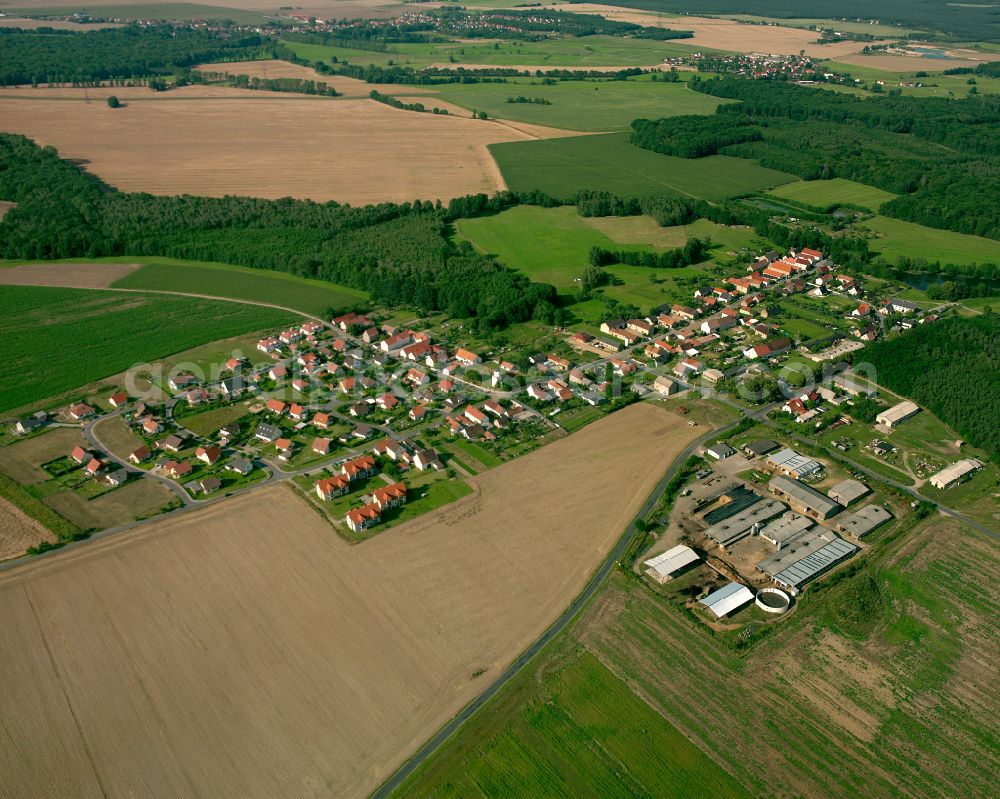 Aerial image Görzig - Agricultural land and field boundaries surround the settlement area of the village in Görzig in the state Saxony, Germany