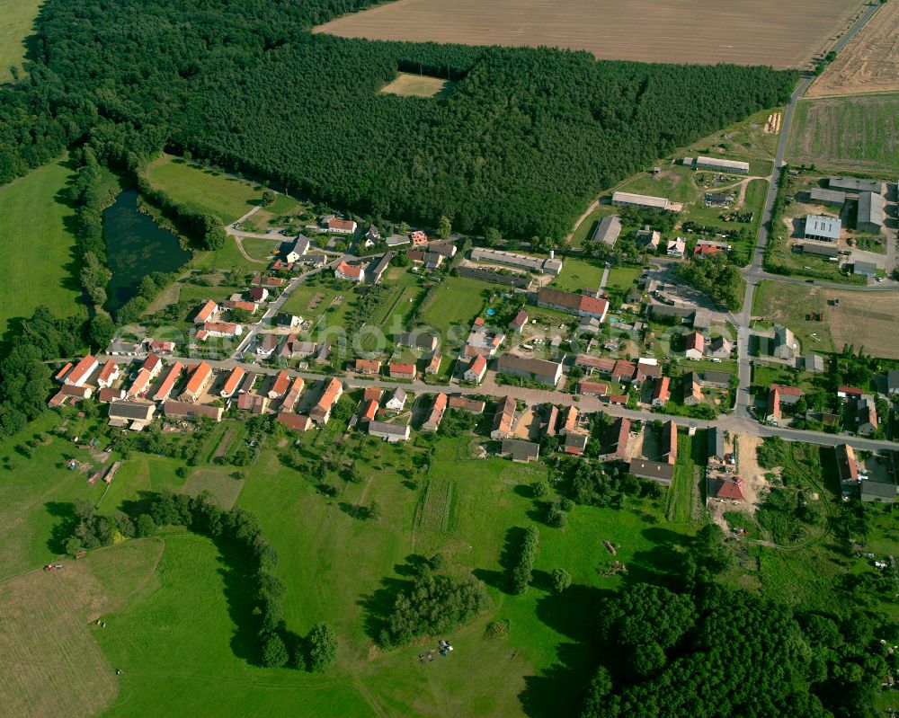 Aerial photograph Görzig - Agricultural land and field boundaries surround the settlement area of the village in Görzig in the state Saxony, Germany