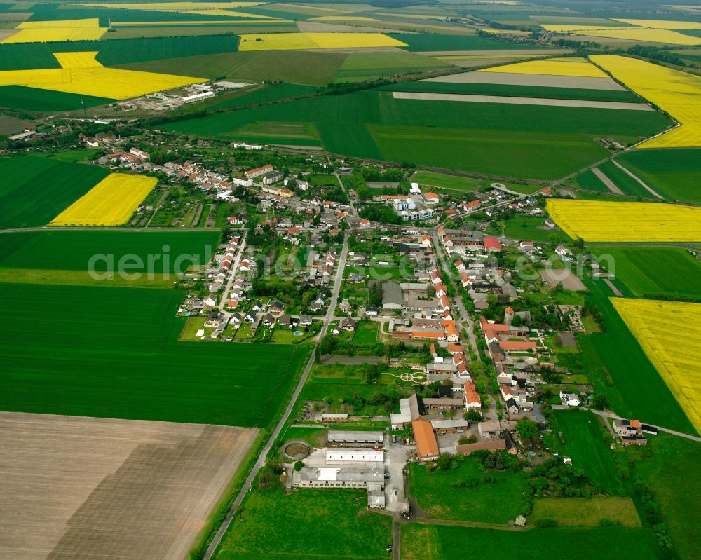 Güterglück from above - Agricultural land and field boundaries surround the settlement area of the village in Güterglück in the state Saxony-Anhalt, Germany