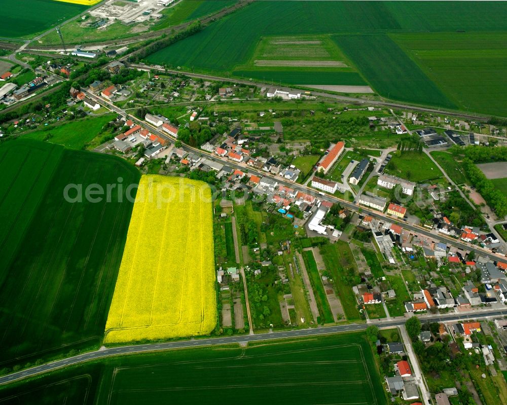 Güterglück from the bird's eye view: Agricultural land and field boundaries surround the settlement area of the village in Güterglück in the state Saxony-Anhalt, Germany