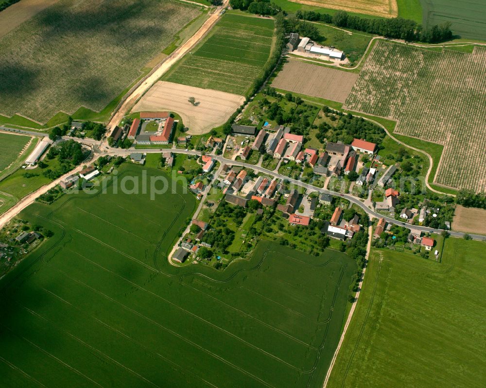 Gävernitz from above - Agricultural land and field boundaries surround the settlement area of the village in Gävernitz in the state Saxony, Germany