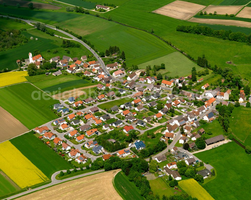 Hailtingen from the bird's eye view: Agricultural land and field boundaries surround the settlement area of the village in Hailtingen in the state Baden-Wuerttemberg, Germany