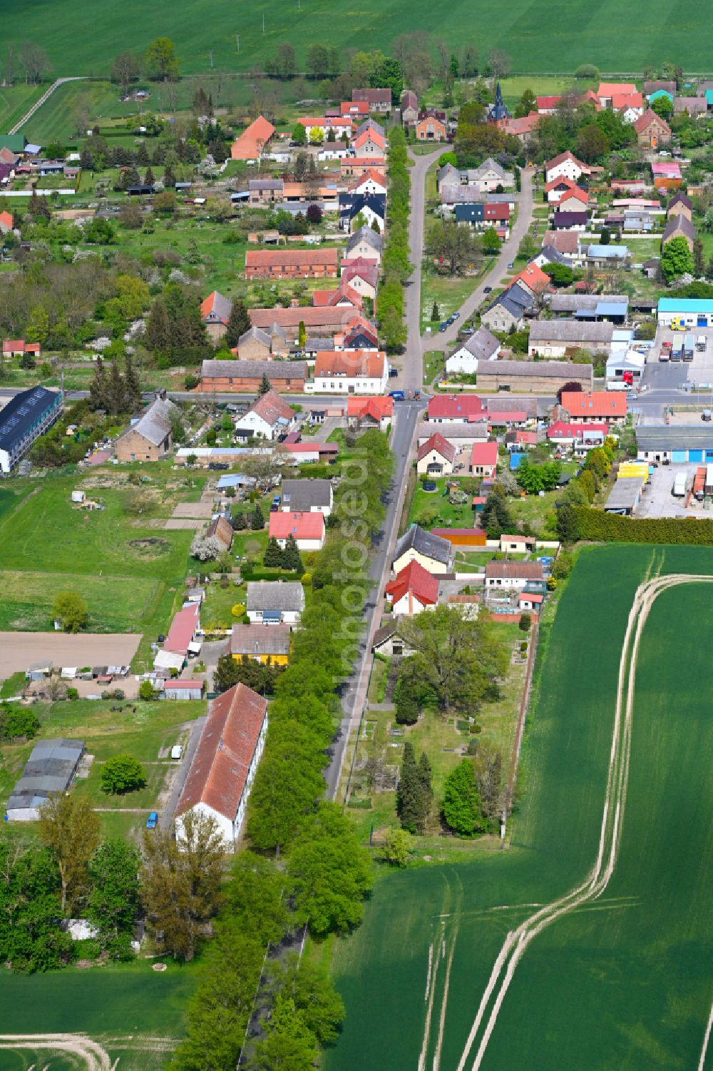 Aerial photograph Hakenberg - Agricultural land and field boundaries surround the settlement area of the village in Hakenberg in the state Brandenburg, Germany