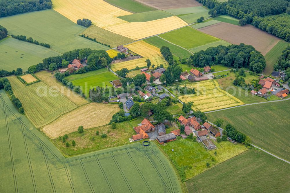 Haltern am See from the bird's eye view: Agricultural land and field boundaries surround the settlement area of the village in Haltern am See at Ruhrgebiet in the state North Rhine-Westphalia, Germany