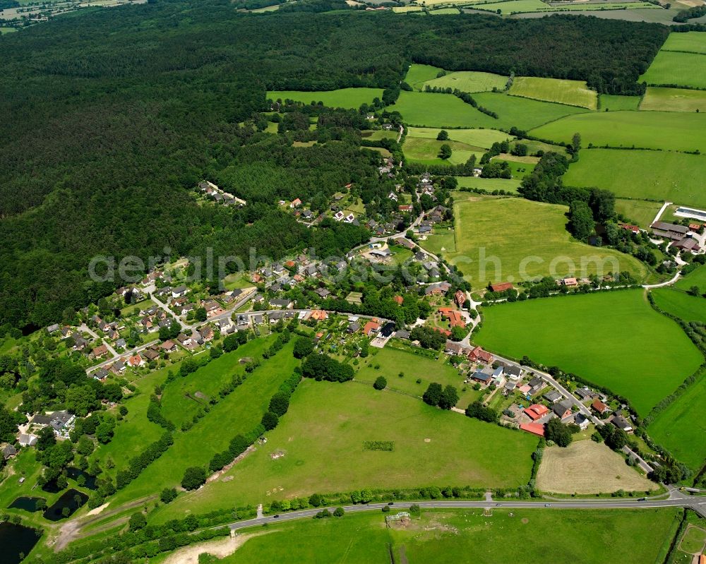 Aerial image Hamfelde - Agricultural land and field boundaries surround the settlement area of the village in Hamfelde in the state Schleswig-Holstein, Germany