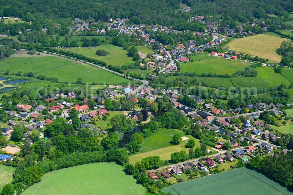 Hamfelde from the bird's eye view: Agricultural land and field boundaries surround the settlement area of the village in Hamfelde in the state Schleswig-Holstein, Germany