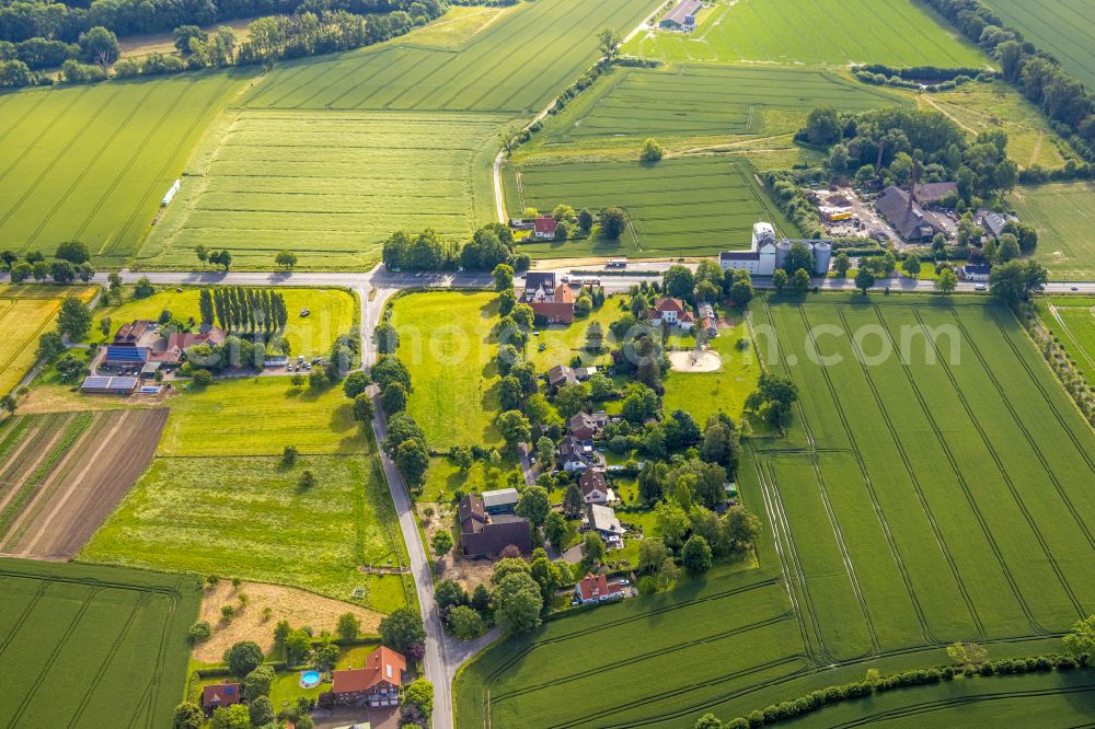 Hamm from above - Agricultural land and field boundaries surround the settlement area of the village in Hamm at Ruhrgebiet in the state North Rhine-Westphalia, Germany