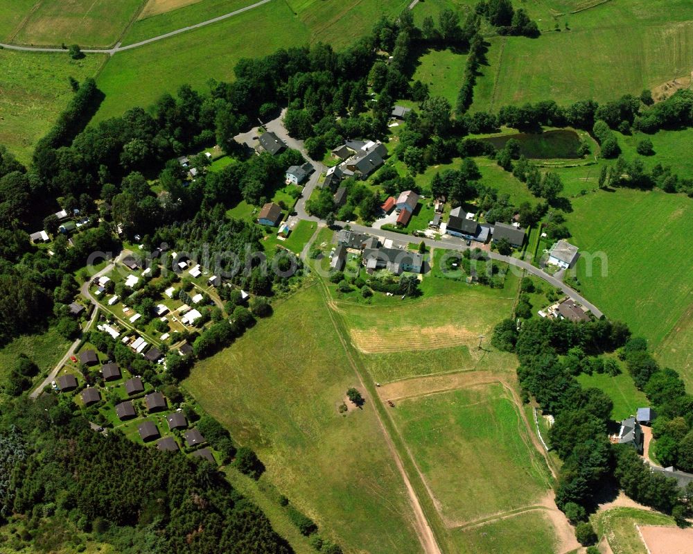 Aerial image Hammerbirkenfeld - Agricultural land and field boundaries surround the settlement area of the village in Hammerbirkenfeld in the state Rhineland-Palatinate, Germany