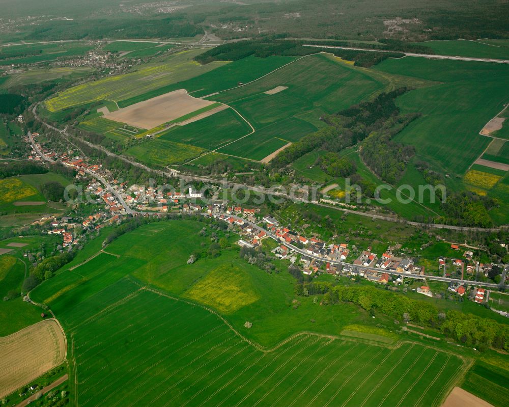 Harpersdorf from the bird's eye view: Agricultural land and field boundaries surround the settlement area of the village in Harpersdorf in the state Thuringia, Germany