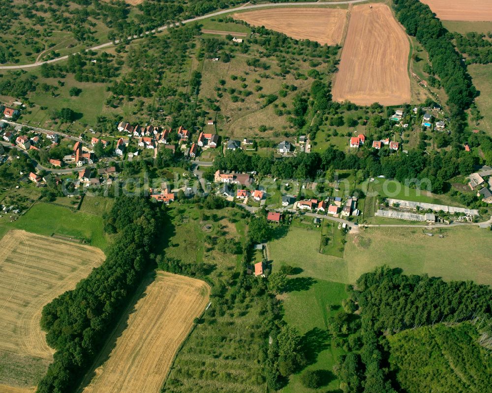 Aerial image Hartmannsdorf - Agricultural land and field boundaries surround the settlement area of the village in Hartmannsdorf in the state Thuringia, Germany