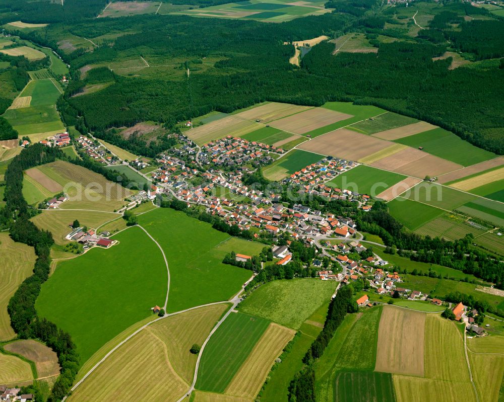 Haslach from the bird's eye view: Agricultural land and field boundaries surround the settlement area of the village in Haslach in the state Baden-Wuerttemberg, Germany