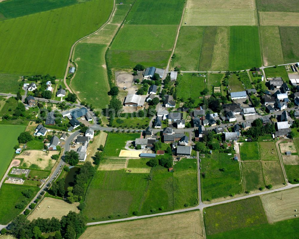 Hasselbach from the bird's eye view: Agricultural land and field boundaries surround the settlement area of the village in Hasselbach in the state Rhineland-Palatinate, Germany