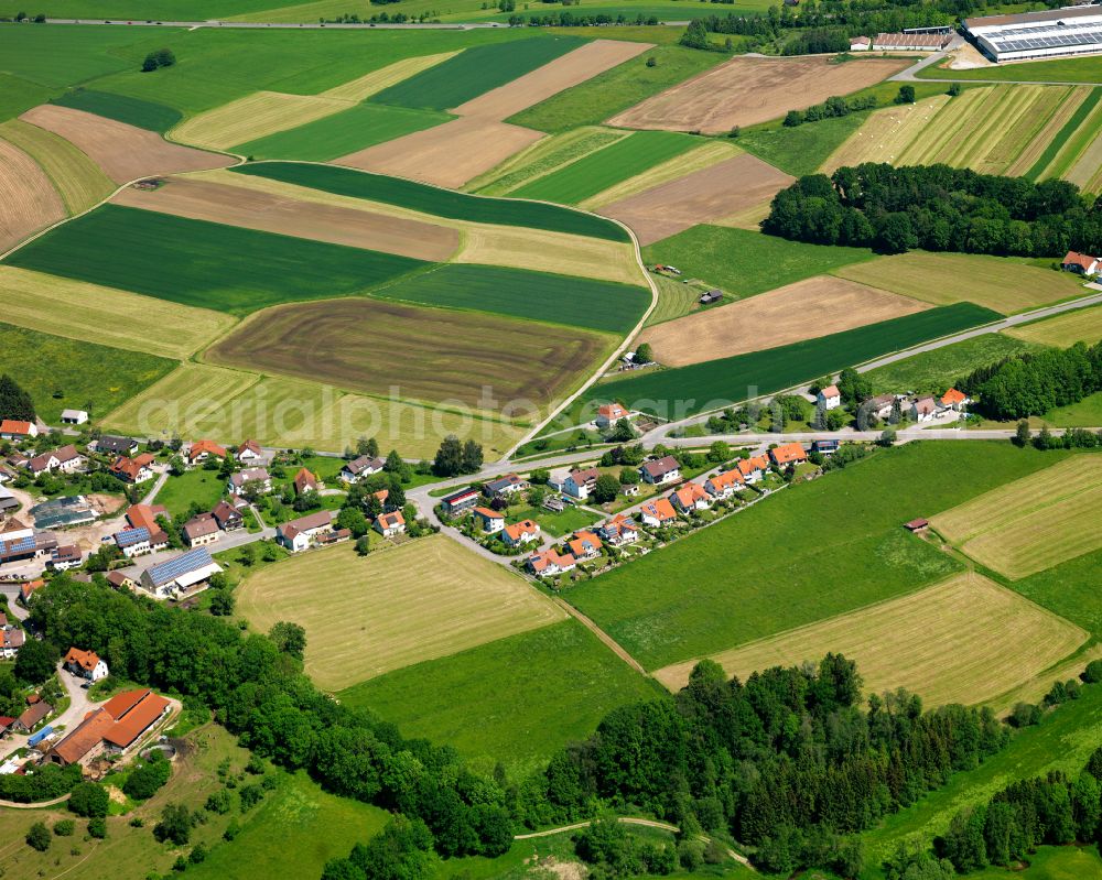 Hattenburg from the bird's eye view: Agricultural land and field boundaries surround the settlement area of the village in Hattenburg in the state Baden-Wuerttemberg, Germany