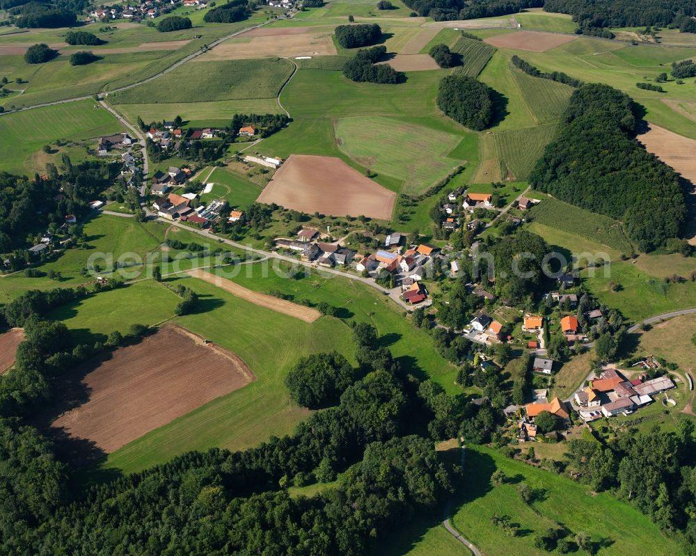 Hembach from above - Agricultural land and field boundaries surround the settlement area of the village in Hembach in the state Hesse, Germany