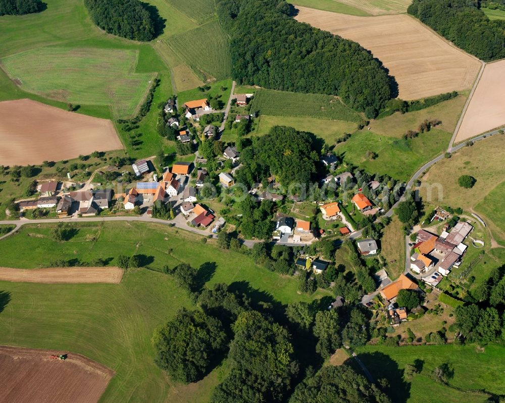 Hembach from the bird's eye view: Agricultural land and field boundaries surround the settlement area of the village in Hembach in the state Hesse, Germany