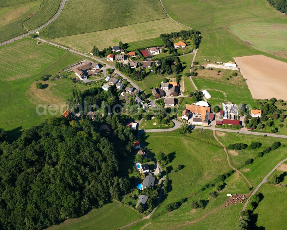 Aerial image Hembach - Agricultural land and field boundaries surround the settlement area of the village in Hembach in the state Hesse, Germany