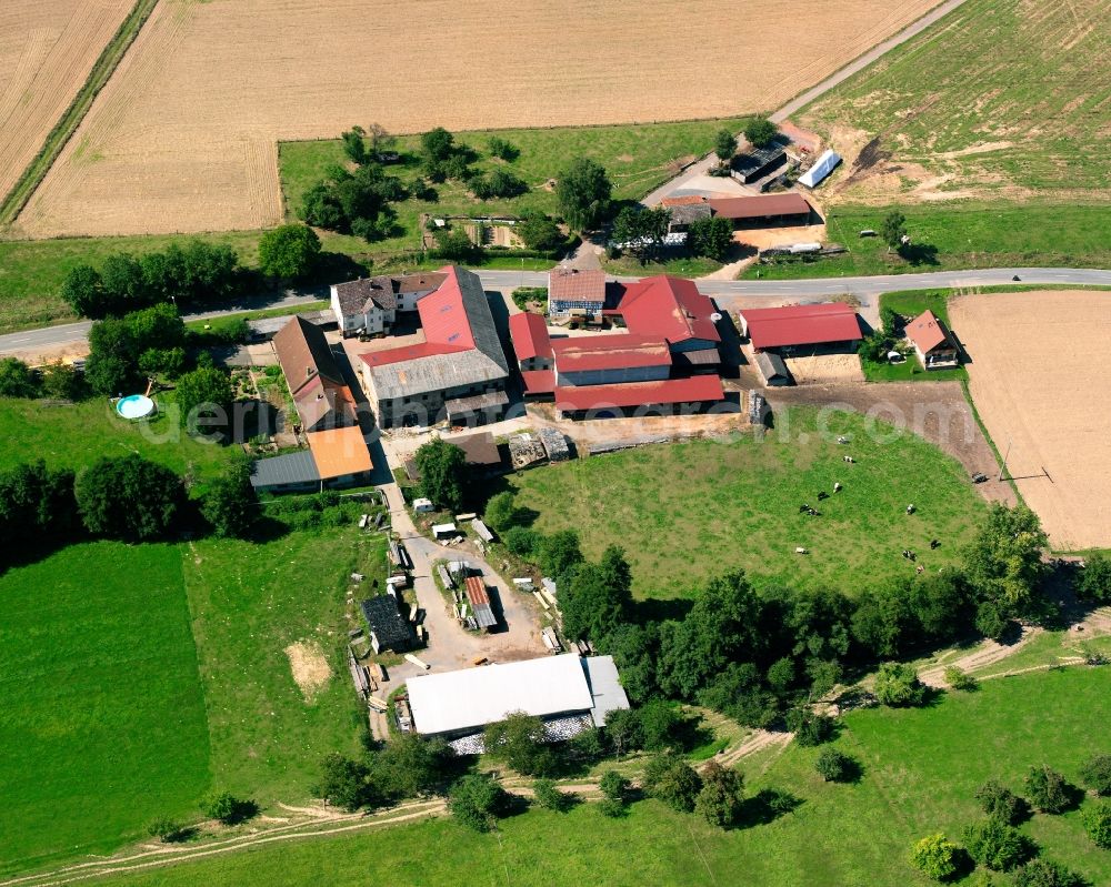 Herrenwäldchen from above - Agricultural land and field boundaries surround the settlement area of the village in Herrenwäldchen in the state Hesse, Germany